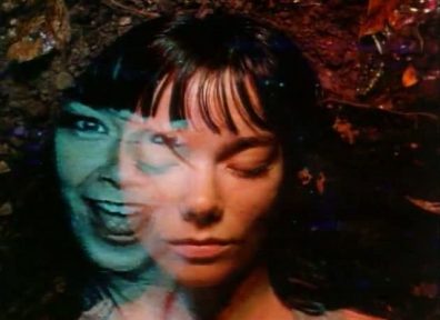 Björk__Hyperballad__Michael_Gondry__1299542596_crop_550x400